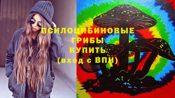 мдпв Горно-Алтайск
