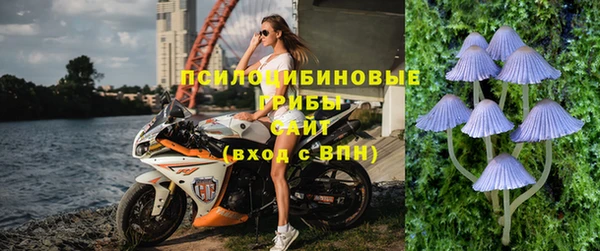 твердый Алзамай