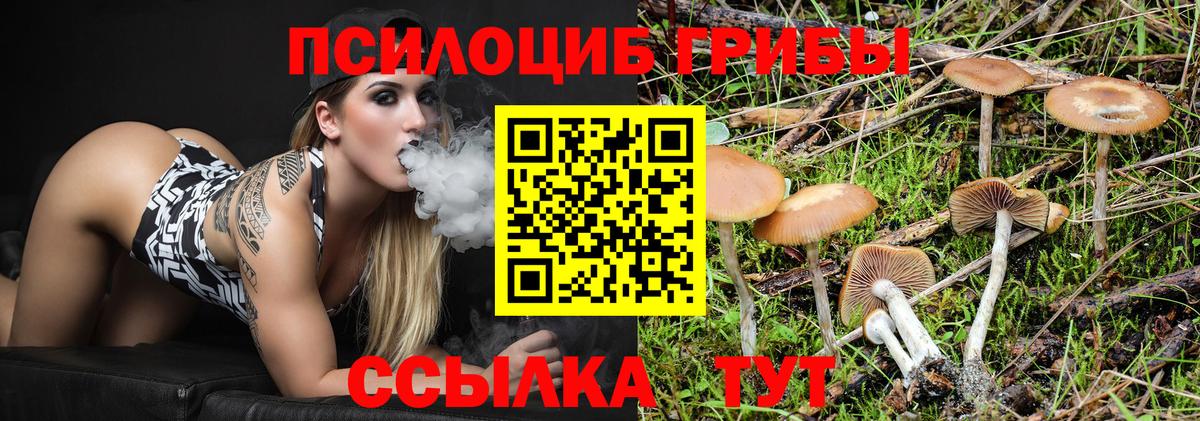 Псилоцибиновые грибы Psilocybine cubensis  купить закладку  Вход с VPN  Глазов  Псилоцибиновые грибы прущие грибы 